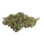 Насіння конопель Mimosa Cake Feminised Silver від Error Seeds - Smartshop-smartshop.ua®