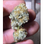 Насіння конопель Mr. Melon Feminised Silver від Error Seeds - Smartshop-smartshop.ua®