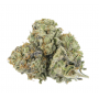 Семена конопли Stexling Haze Feminised Silver от Error Seeds - Smartshop-smartshop.ua®