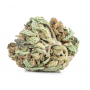 Семена конопли Strawberry Cheesecake Feminised Silver от Error Seeds - Smartshop-smartshop.ua®