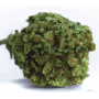 Семена конопли Winning Cake Feminised Silver от Error Seeds - Smartshop-smartshop.ua®