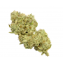 Cannabis seeds White Widow Feminised Silver from Error Seeds at Smartshop-smartshop.ua®