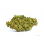 Семена конопли Auto Northern Lights Silver regular от Error Seeds - Smartshop-smartshop.ua®
