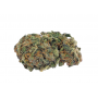 Семена конопли Auto Super Bud Feminised Gold от Error Seeds - Smartshop-smartshop.ua®