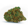 Семена конопли Auto White Dwarf Feminised Gold от Error Seeds - Smartshop-smartshop.ua®