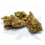 Семена конопли Gorilla Glue Feminised Gold от Error Seeds - Smartshop-smartshop.ua®
