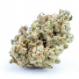 Семена конопли Jack Herer Feminised Gold от Error Seeds - Smartshop-smartshop.ua®