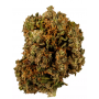 Семена конопли Lemon Skunk Feminised Gold от Error Seeds - Smartshop-smartshop.ua®