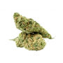 Семена конопли White Russian (F*cking Dead Russian) Feminised Gold от Error Seeds - Smartshop-smartshop.ua®