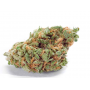 Семена конопли Auto Amnesia от Divine Seeds - Smartshop-smartshop.ua®