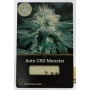 Семена конопли Auto CBD Monster от Divine Seeds - Smartshop-smartshop.ua®