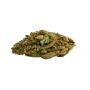 Семена конопли Auto CBD Monster от Divine Seeds - Smartshop-smartshop.ua®