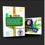 Семена конопли Auto Gagarin Fast от Marley Seedbank - Smartshop-smartshop.ua®