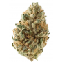 Семена конопли Tangie от Marley Seedbank - Smartshop-smartshop.ua®