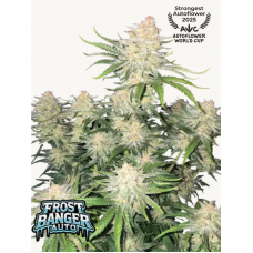 FROSTBANGER Auto™