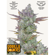 GORILLA COOKIES Auto