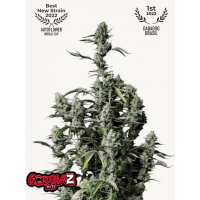 GORILLA Z Auto (GORILLA Zkittlez Auto)