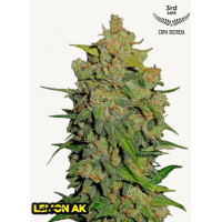 LEMON AK Auto