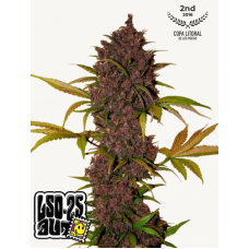 LSD-25 Auto