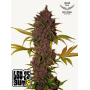 Семена каннабиса LSD-25 Auto
