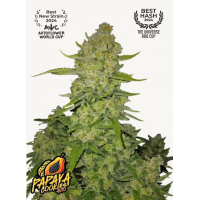 PAPAYA COOKIES Auto™