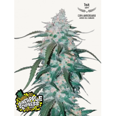 PINEAPPLE EXPRESS Auto