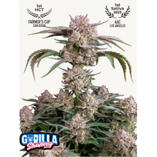 STRAWBERRY GORILLA Auto