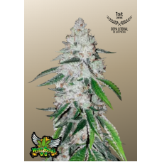 West Coast O.G. Auto