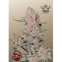 ZTRAWBERRIEZ Auto