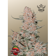 ZTRAWBERRIEZ Auto