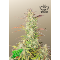 Z-Up Auto™