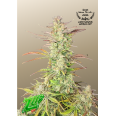 Z-Up Auto™
