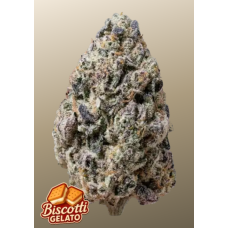 BISCOTTI GELATO™