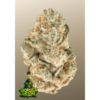 GORILLA MELON™