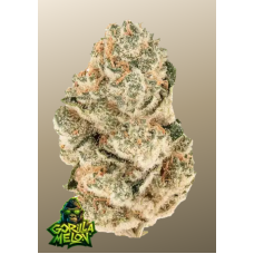 GORILLA MELON™
