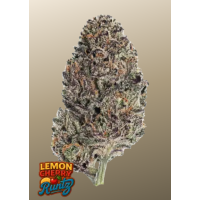 LEMON CHERRY RUNTZ ™