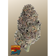 LEMON CHERRY RUNTZ ™