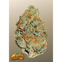 LEMON MANDARIN ™