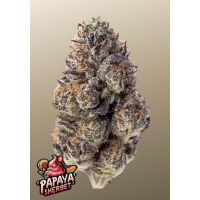 PAPAYA SHERBET ™