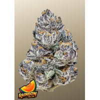 RAINBOW MELON ™