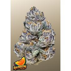 RAINBOW MELON ™