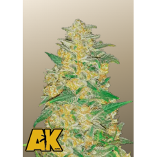 Original AUTO AK