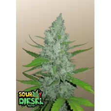 Original AUTO SOUR DIESEL