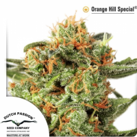 Orange Hill Special®