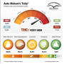 Семена каннабиса Auto Mokum’s Tulip®