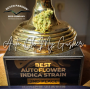 Семена каннабиса Auto Oh My Gusher®