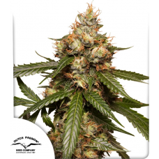 Auto THC-Victory®
