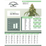 Семена каннабиса Auto CBD-Victory®