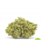 Семена каннабиса Auto CBD White Widow®