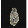 Семена каннабиса Black Cherry Gushers